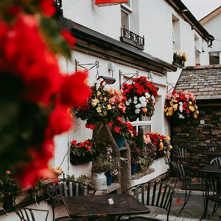The Wilson Arms Torver
