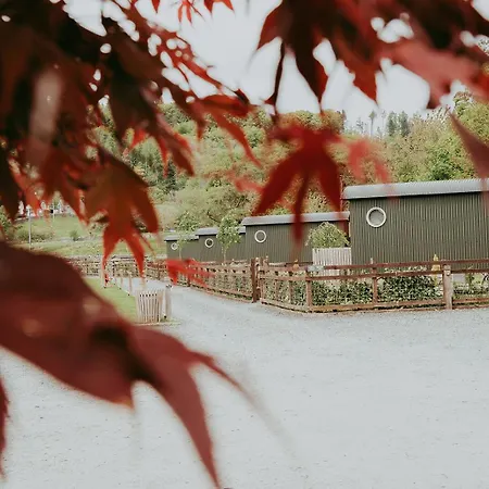 The Wilson'S Arms 4*