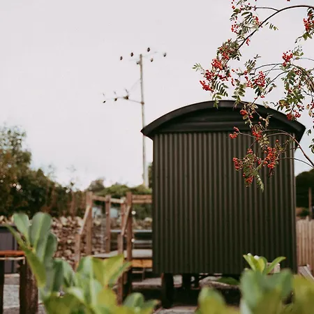 Bed & Breakfast The Wilson Arms 3*